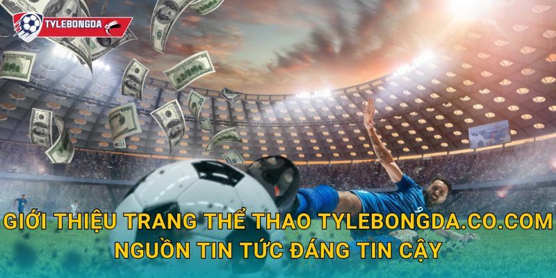 Giới thiệu trang thể thao Tylebongda.co.com – Nguồn tin tức đáng tin cậy